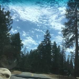 Meet your Posher, Peggy